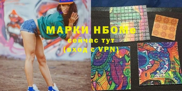 apvp Алексин