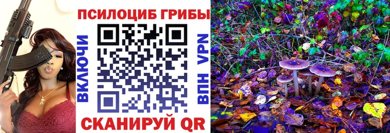 купить наркотик  Ардон  Псилоцибиновые грибы прущие грибы 
